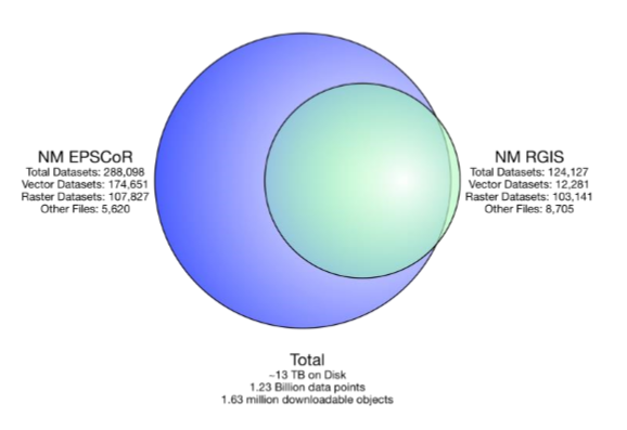 Illustration of the overlapping collections in GSToRE for the New Mexico EPSCoR and RGIS systems. 