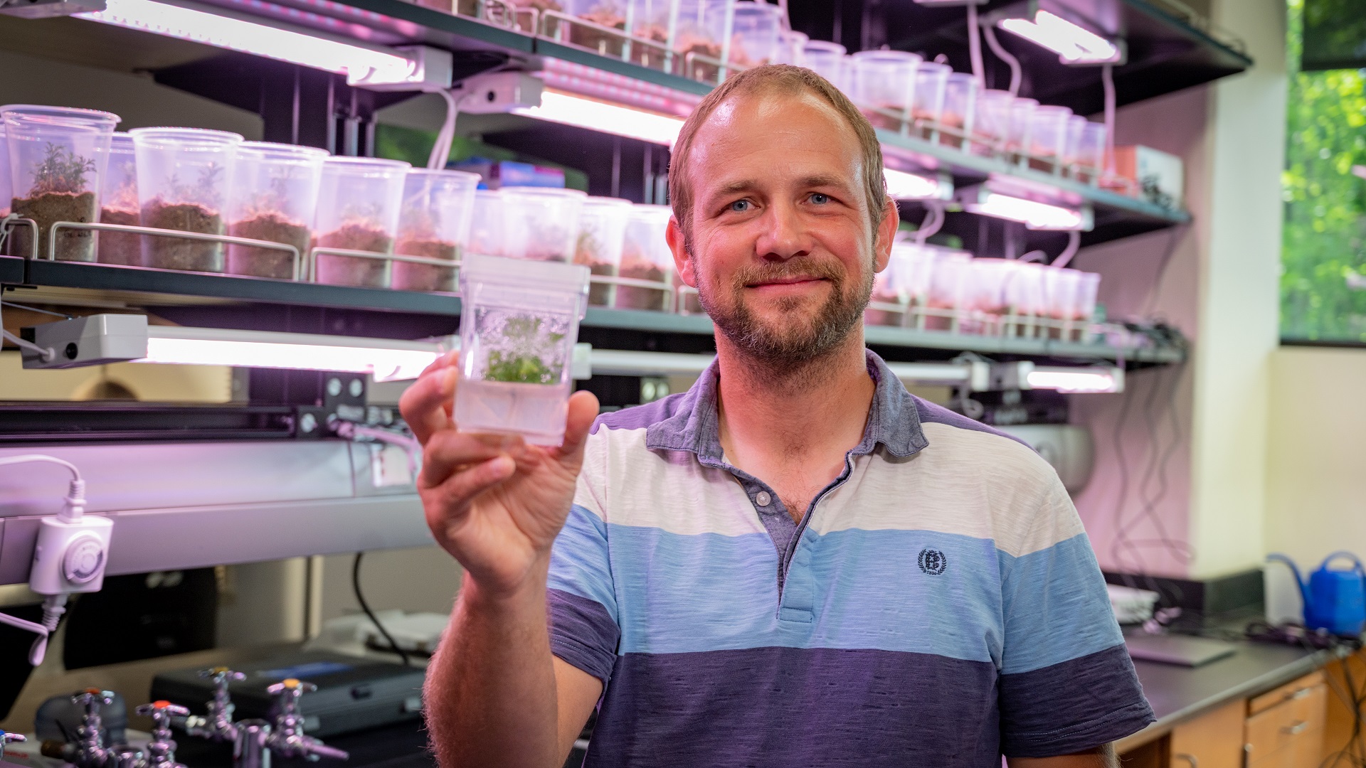 Dr. Sven Buerki showcases sagebrush plantlet