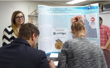 Lewis Clark State College students engaged in peer review of individual posters. Photo: Jeanette Gara-Betzhold, LCSC