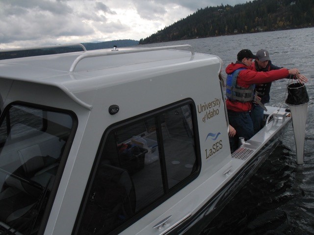LaSES researchers collecting zooplankton at Coeur d'Alene Lake. Photo: Frank Wilhelm, LaSES. 