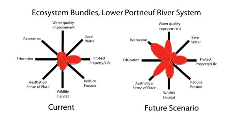 Figure 1: Relative importance of several ecosystem services associated with the lower Portneuf River