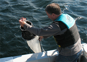 Lake Social Ecological Systems Lab