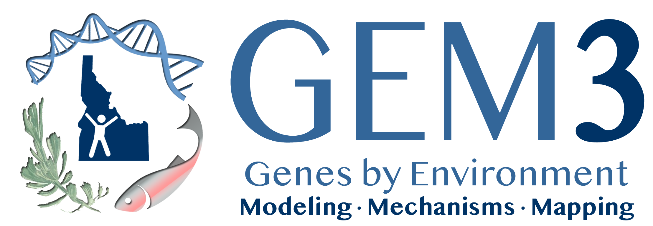 GEM3 logo