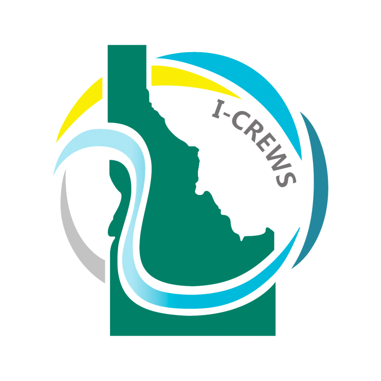 ICREWS logo