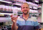 Dr. Sven Buerki showcases sagebrush plantlet