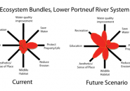 Figure 1: Relative importance of several ecosystem services associated with the lower Portneuf River
