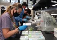 Researchers in lab assembling sagebrush genome.