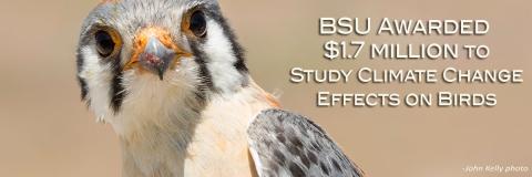 Kestrel research grant awarded at BSU
