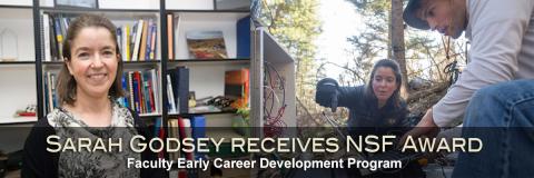 ISU's Sarah Godsey Receives Prestigious NSF Award