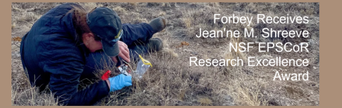 Forbey wins research excellence award for contributions to Idaho science