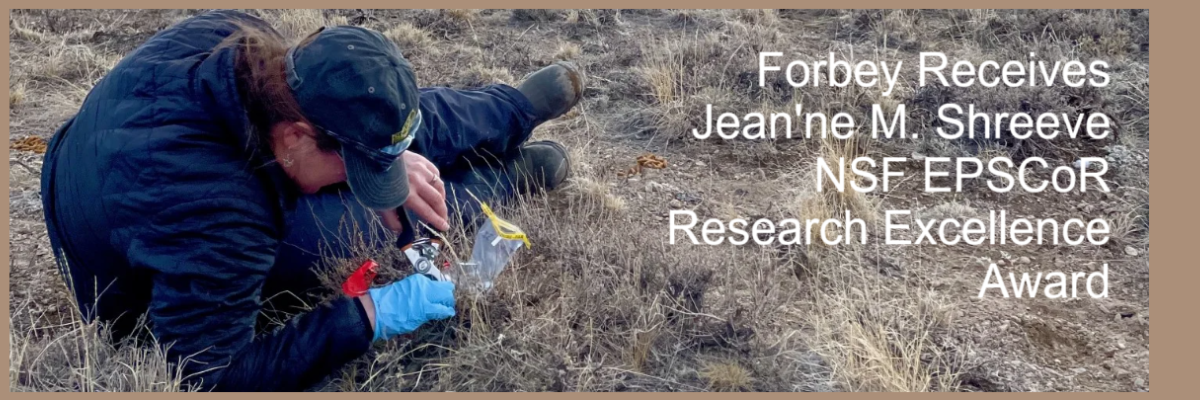 Forbey wins research excellence award for contributions to Idaho science