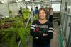 Ruth Andrew in ISU research facility